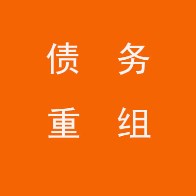 武宁个人债务重组优化